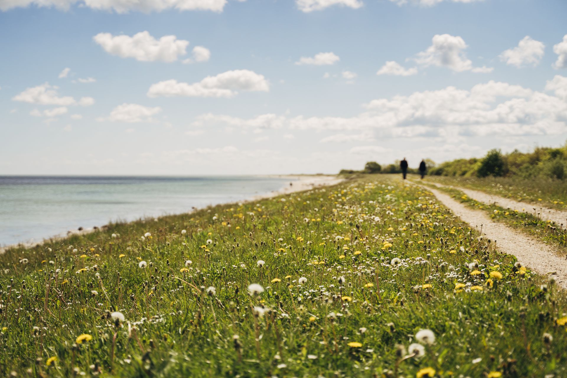 Ostseecamping Gut Oehe — photo 6